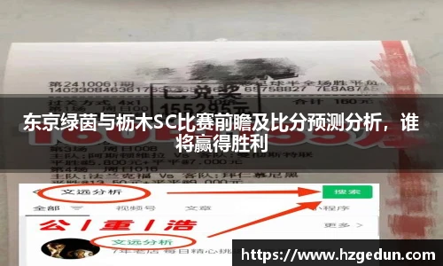 EVO视讯APP